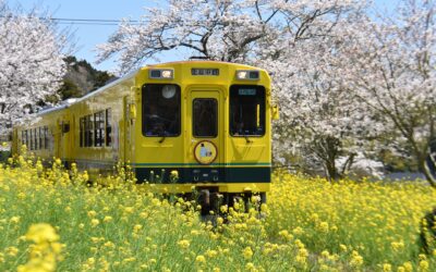 日本電車指南：電車基礎介紹